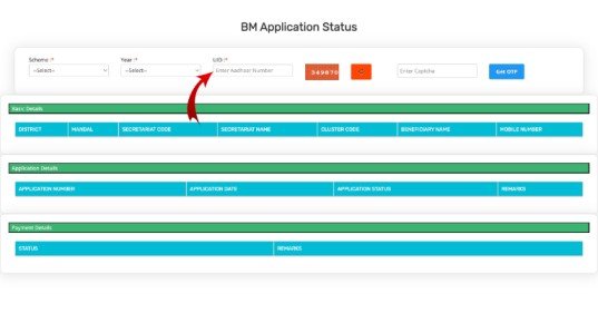 NBM Application Status 2025